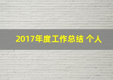 2017年度工作总结 个人